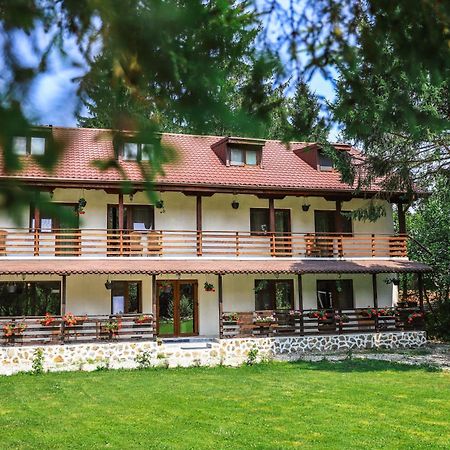 Pensiunea Vinatur Porumbacu de Sus Extérieur photo