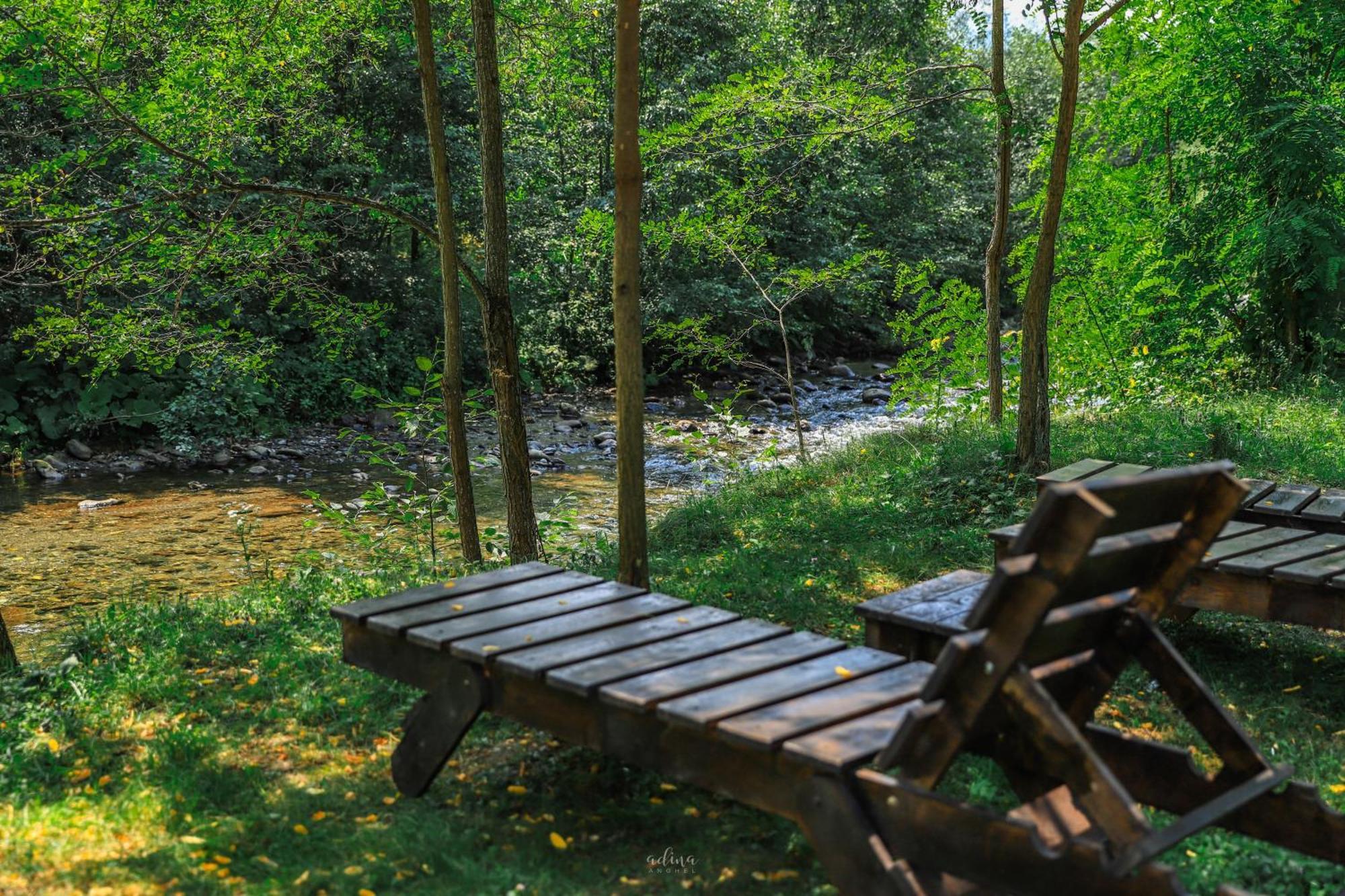 Pensiunea Vinatur Porumbacu de Sus Extérieur photo