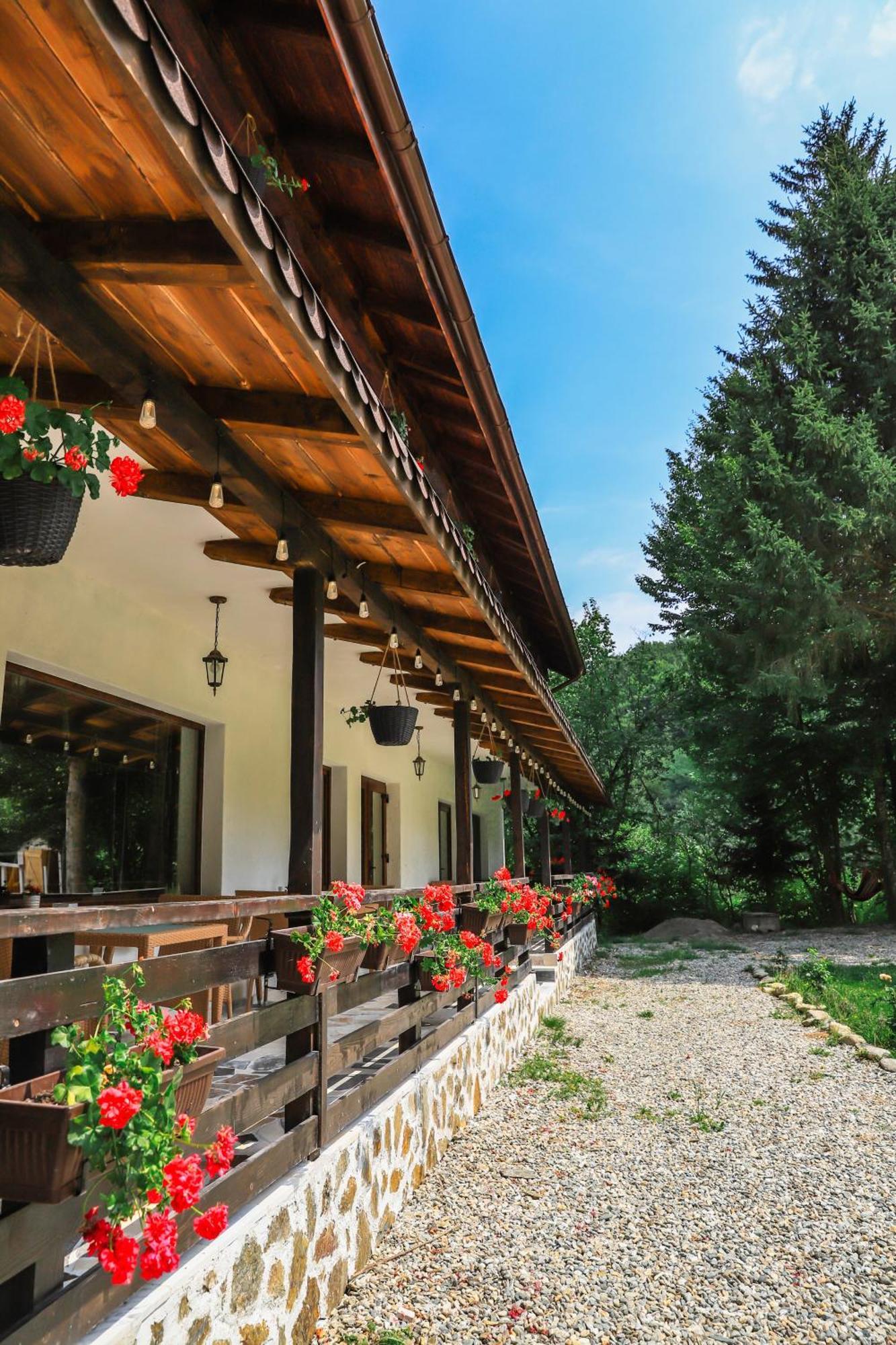 Pensiunea Vinatur Porumbacu de Sus Extérieur photo