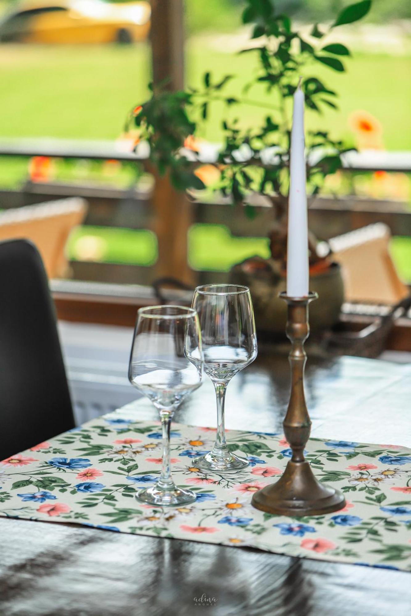 Pensiunea Vinatur Porumbacu de Sus Extérieur photo